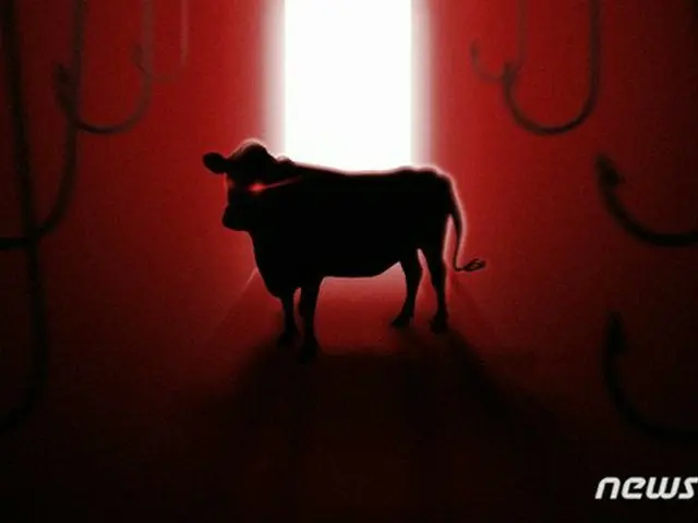 豪州産牛肉を国産と偽装して販売した業者に“執行猶予”＝韓国（画像提供:wowkorea）
