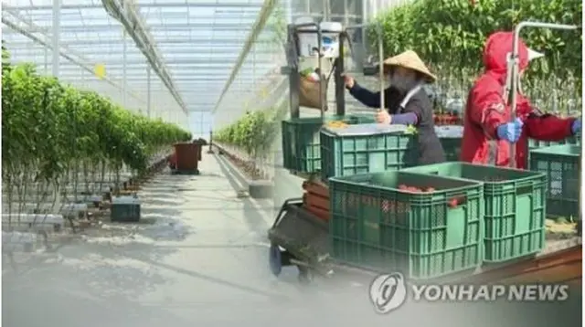来年に一般雇用許可制で受け入れる外国人材の規模が５万２０００人に決まった＝（聯合ニュースＴＶ）