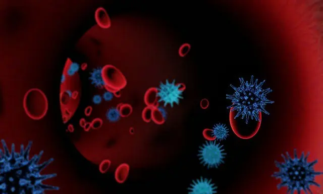 世界で100人に1人がコロナに感染、感染者のうち2.2%死亡（画像提供:wowkorea）
