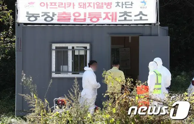 とどまることなく南下するASFイノシシ…感染経路把握できず拡散の懸念拡大＝韓国（画像提供:wowkorea）