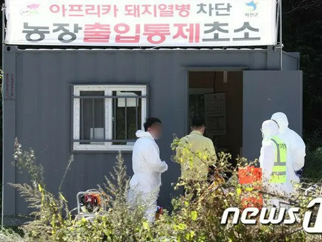 とどまることなく南下するASFイノシシ…感染経路把握できず拡散の懸念拡大＝韓国（画像提供:wowkorea）