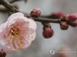 きょう「大寒」　昼から気温大幅上昇＝韓国
