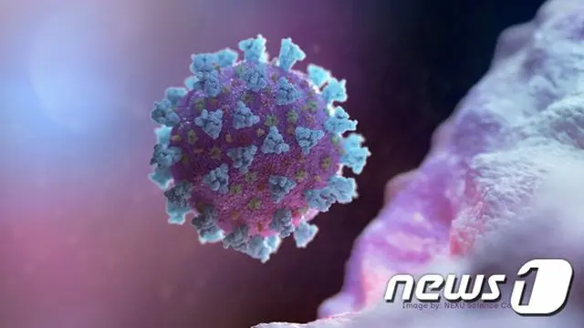 米国コロナ死亡者45～74歳が40%…死亡率は交通事故の100倍以上（画像提供:wowkorea）