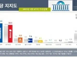 政党支持率　ソウルで与党が最大野党上回る＝韓国