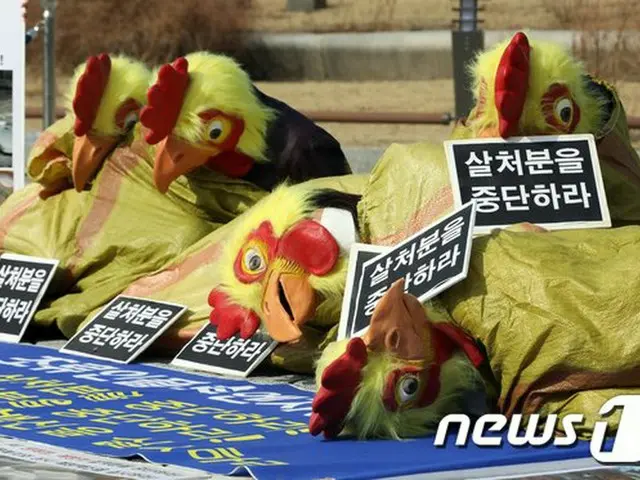 「鶏1万羽の殺処分をしないでほしい」農場の仮処分申請…裁判所‘棄却’＝韓国南楊州市（画像提供:wowkorea）
