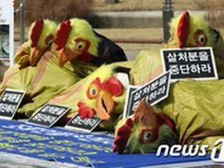 「鶏1万羽の殺処分をしないでほしい」農場の仮処分申請…裁判所‘棄却’＝韓国南楊州市