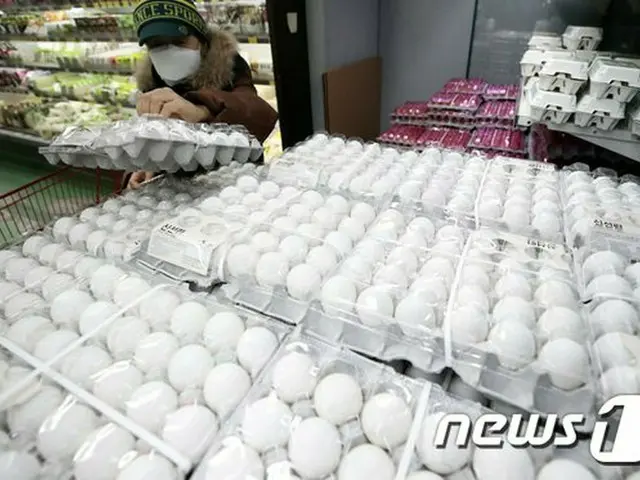 韓国政府「旧正月までに輸入卵を最大限供給…10日まで2000万個」（画像提供:wowkorea）