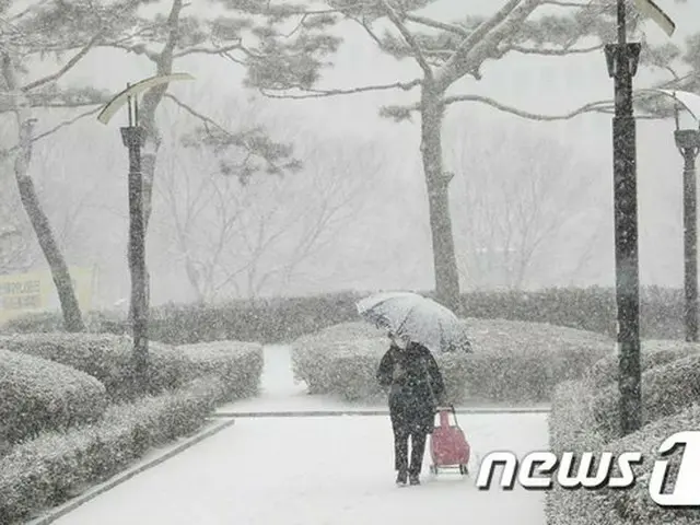 寒波・暖波行ったり来たり、1月の気温差”48年ぶり”最大19.6度…北極温暖化が影響=韓国（画像提供:wowkorea）