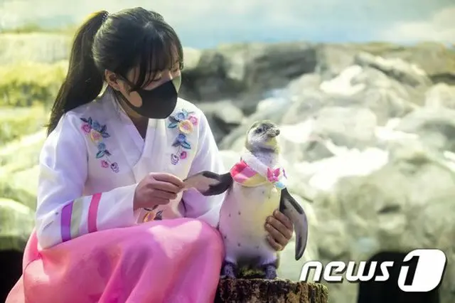 「家族みんなが集まる旧正月」は古い言葉…成人4人中3人は「帰省しない」＝韓国（画像提供:wowkorea）