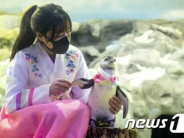 「家族みんなが集まる旧正月」は古い言葉…成人4人中3人は「帰省しない」＝韓国（画像提供:wowkorea）
