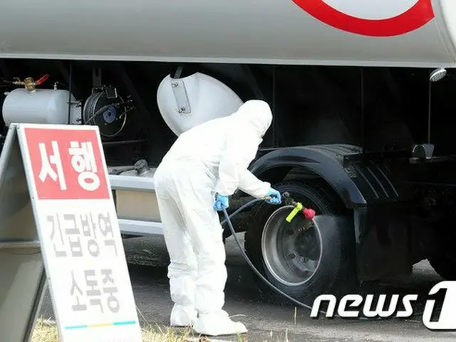 韓国済州、カモ飼育場で鳥インフルエンザウイルス検出「5500匹殺処分」（画像提供:wowkorea）