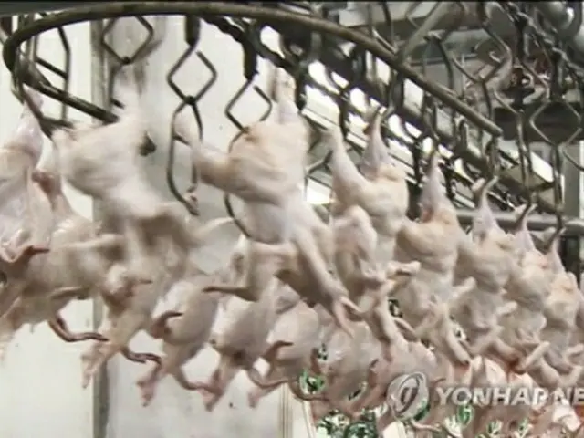 韓国の鶏肉加工品の輸出額が昨年、過去最高を記録した（資料写真）＝（聯合ニュース）