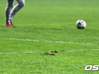 サッカー韓国代表選手に小学時代の性暴行疑惑、所属チームがコメント「本人に確認した結果、事実ではない」
