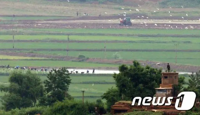 FAO、北朝鮮を15年連続で食糧不足国に再指定…新型コロナ・自然災害が影響（画像提供:wowkorea）