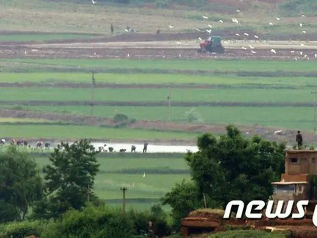 FAO、北朝鮮を15年連続で食糧不足国に再指定…新型コロナ・自然災害が影響（画像提供:wowkorea）