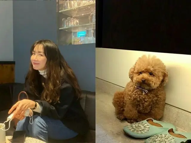 女優チェ・ジウ、愛犬も飼い主に似てラブリー…ムッとした表情に視線集中（画像提供:wowkorea）