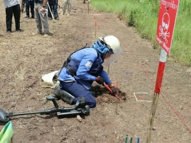KOICAがカンボジアで地雷除去に取り組む。除去作業を実演してみせる現地の関係者（KOICA提供）=（聯合ニュース）≪転載・転用禁止≫