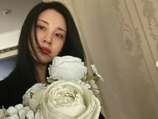 「少女時代」ソヒョン、黒髪に変身したためか妙に変わった美貌