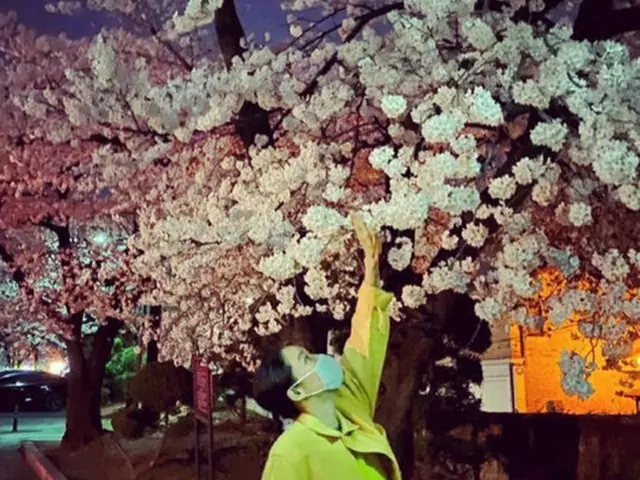 女優コン・ヒョジン「桜とコンブリー（コン・ヒョジン+ラブリー）」…写真集撮影のような帰り道（画像提供:wowkorea）