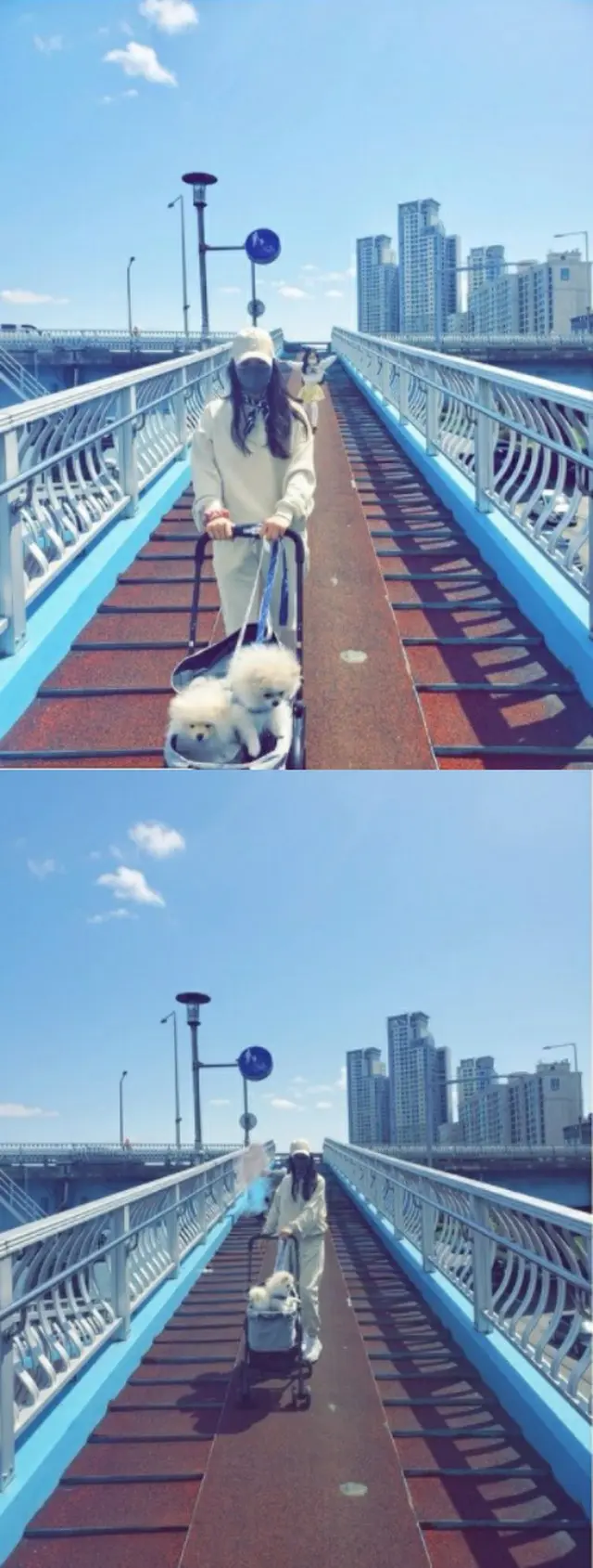 女優コ・ソヨン、小学生の娘＆愛犬との日常公開…みんなで散歩中（画像提供:wowkorea）