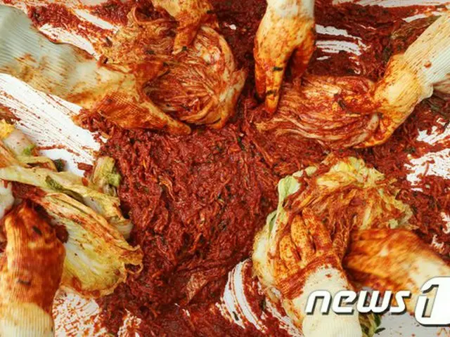韓国で中国産キムチを韓国産と虚偽表記した飲食店130店を摘発…中国の「裸男の白菜掻き回し映像」影響（画像提供:wowkorea）