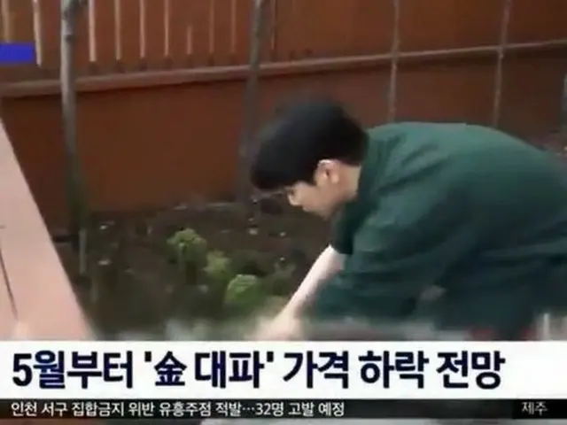 「SHINee」キー、“長ネギ価格下落”ニュースの資料写真に登場（画像提供:wowkorea）
