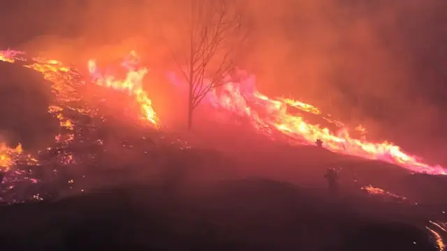 地球温暖化で乾燥する朝鮮半島…春に頻発する山火事の原因は＝韓国（画像提供:wowkorea）