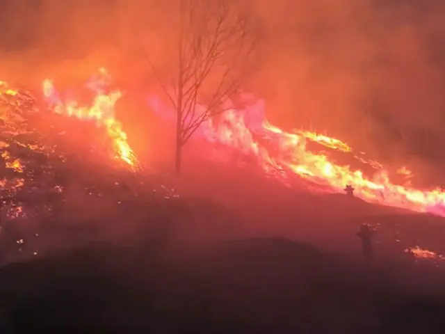 地球温暖化で乾燥する朝鮮半島…春に頻発する山火事の原因は＝韓国（画像提供:wowkorea）