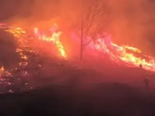 地球温暖化で乾燥する朝鮮半島…春に頻発する山火事の原因は＝韓国