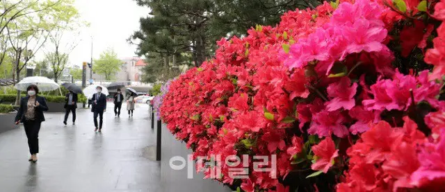 韓国では この5月に、季節外れの異常気象現象が発生している（画像提供:wowkorea）