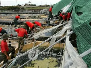 済州の台風被害652億ウォン、さらに膨らむ見通し