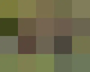 イ・ホンギ（FTISLAND）からKCMまで、フナ釣りを巡るバトルで抱腹絶倒な笑いのリレーを届ける…「都市漁師シーズン3」
