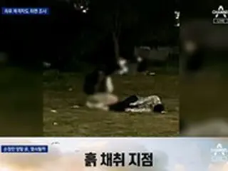 「漢江・医大生事件」被害者の靴下の土を分析、目撃者2人に催眠調査…疑問は解けるか＝韓国
