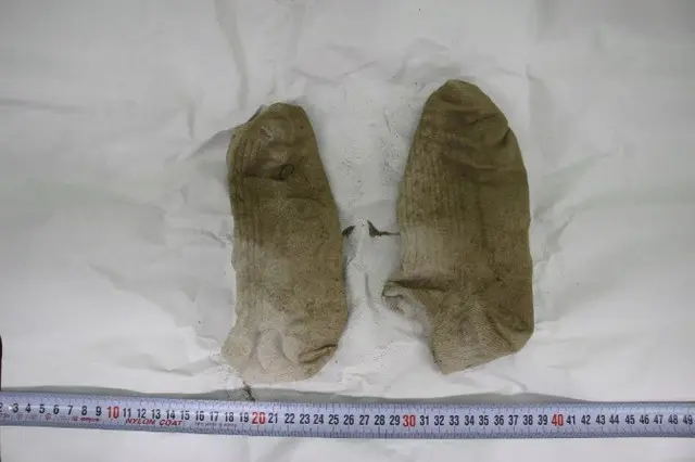 「漢江・医大生事件」残された手がかりは「履物」だけ＝韓国（画像提供:wowkorea）