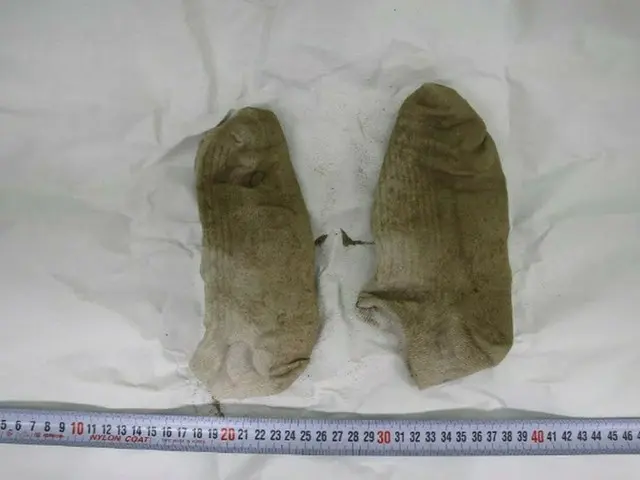 「漢江・医大生事件」残された手がかりは「履物」だけ＝韓国（画像提供:wowkorea）