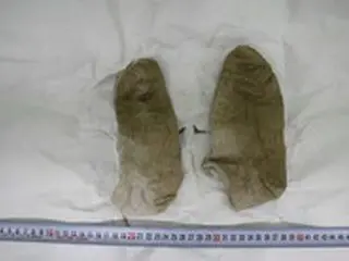 「漢江・医大生事件」残された手がかりは「履物」だけ＝韓国