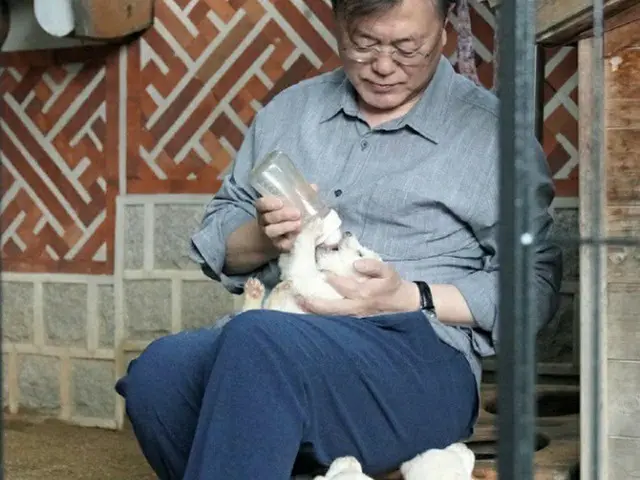 韓国の文在寅 大統領は、北朝鮮から来た豊山犬が子を産んだことを、SNSに公開した（画像提供:wowkorea）