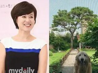 タレントのパク・ミソン、14歳の愛犬から大きな松の木まで…広大な自宅の庭を公開