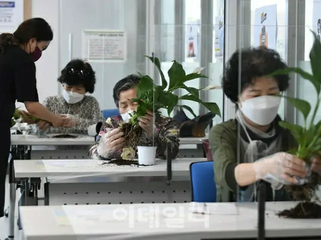 韓国の「人口の高齢化」が進み、韓国の主軸が「40代から50代」へと移った（画像提供:wowkorea）
