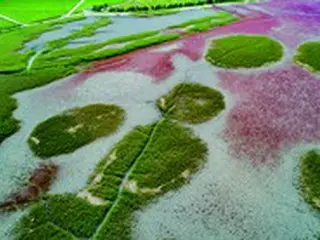 「韓国の干潟」、ユネスコの世界自然遺産に登録