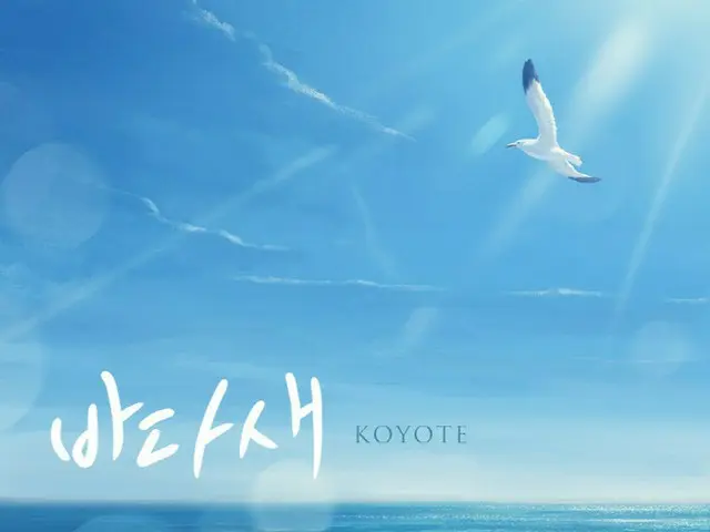 「KOYOTE」、1986年の曲「海鳥」をリメイク（画像提供:wowkorea）