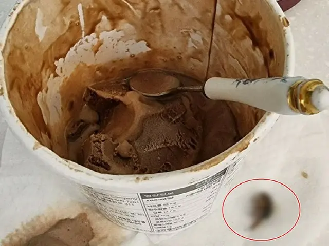 ハーゲンダッツアイスクリームの中に虫混入か＝韓国（画像提供:wowkorea）