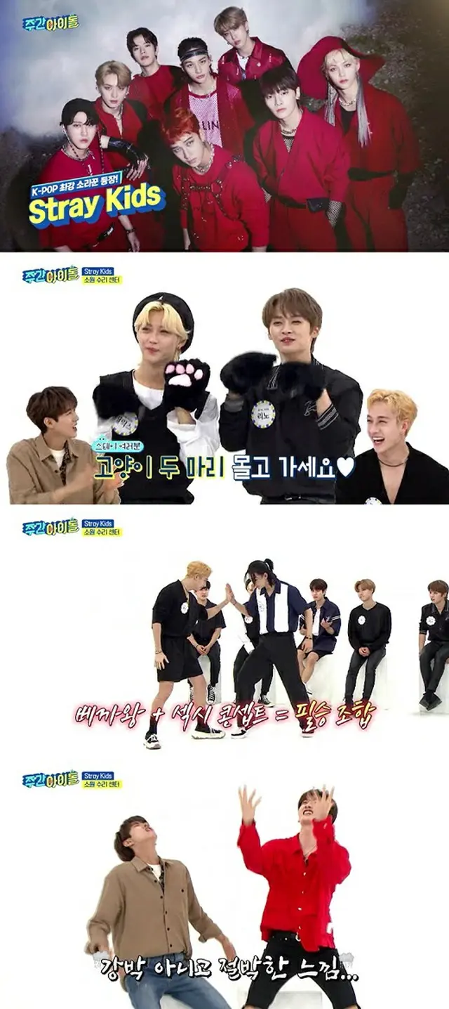 「週刊アイドル」で「Stray Kids」が可愛い魅力を大放出する。（画像提供:Mydaily）