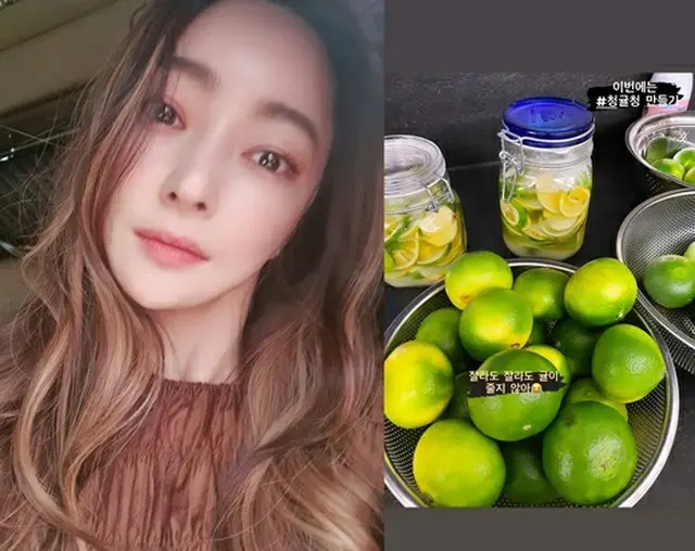 女優ソ・ヒョリム、忙しいワーキングマザーの日常を公開…「今回は青みかんのシロップづくりに挑戦」（画像提供:wowkorea）