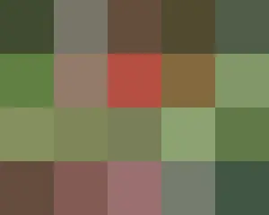イラクメディア、転倒する韓国代表ソン・フンミンの写真投稿し「男らしくない、ピッチを去れ」