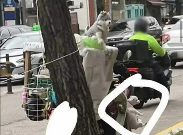 子犬を二輪車にぶら下げて走行する写真が公開され、ネット市民の怒りを買っている。（画像提供:wowkorea）
