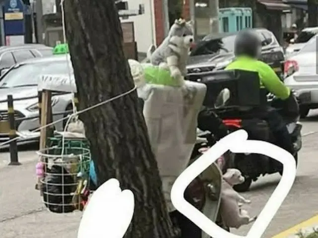 子犬を二輪車にぶら下げて走行する写真が公開され、ネット市民の怒りを買っている。（画像提供:wowkorea）