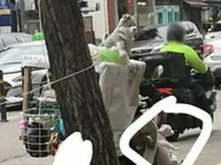 二輪車に犬をぶら下げて疾走…動物虐待だと物議＝韓国報道
