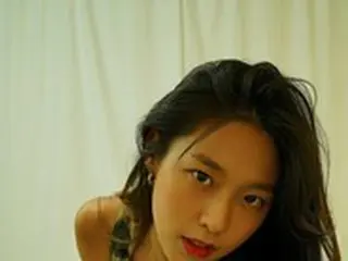 ソリョン（AOA）が「世紀末ファッション」で抜群のスタイルを披露