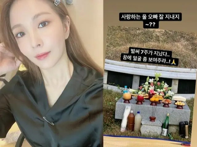 歌手BoA、実の兄故クォン・スンウクさんに向けた恋しさ…「夢の中で顔を見せて」（画像提供:wowkorea）